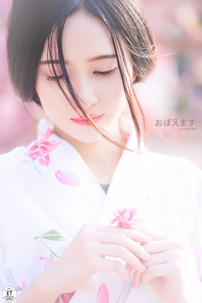 五头鲨